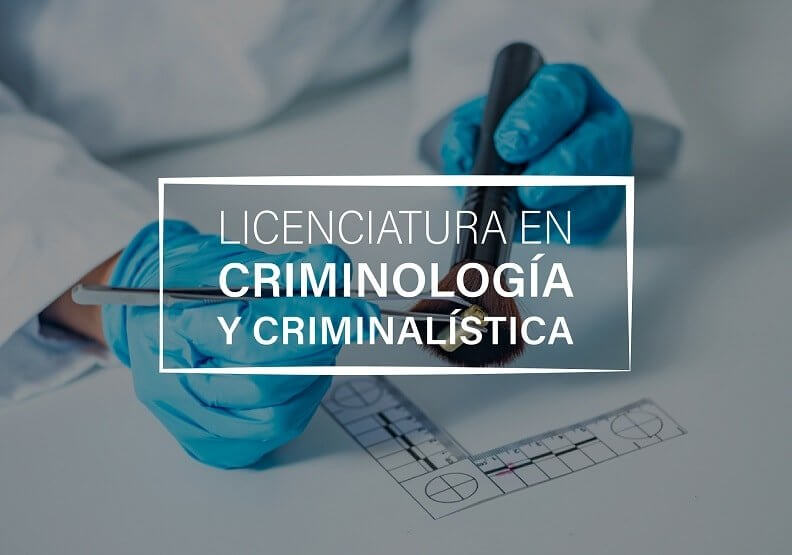 Licenciatura en Criminología y Criminalística – UEM Universidad de España y  México